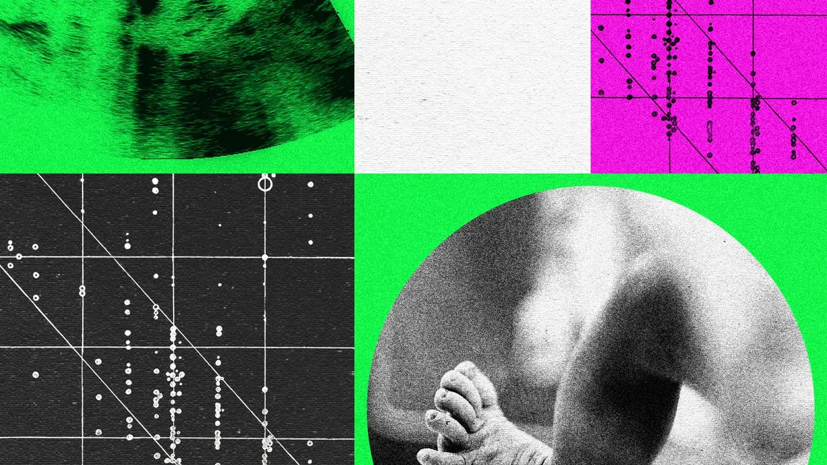 Designer Baby Companies Are in Turmoil